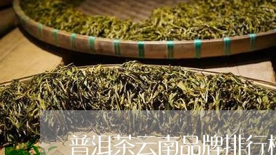 普洱茶云南品牌排行榜前十名/2023110275941