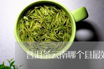 普洱茶云南哪个县最好/2023080287371