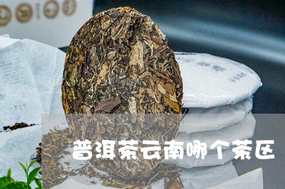 普洱茶云南哪个茶区/2023070919271