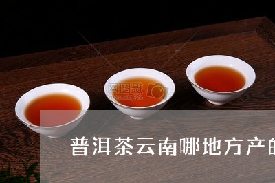 普洱茶云南哪地方产的好/2023082906260