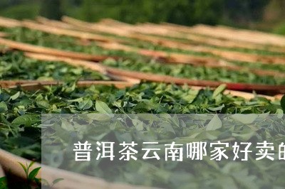 普洱茶云南哪家好卖的比较好/2023082993379