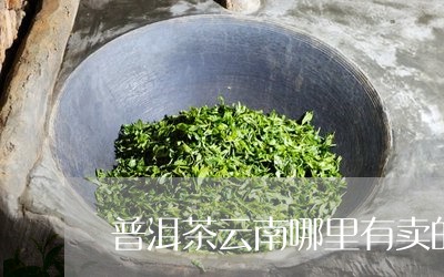 普洱茶云南哪里有卖的最多/2023082958359