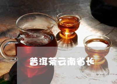 普洱茶云南省长/2023062872693