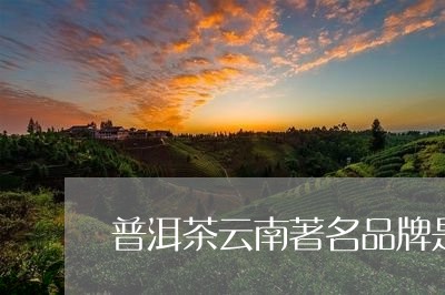 普洱茶云南著名品牌是那个/2023110641516