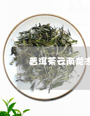 普洱茶云南龙杰春茶厂/2023092950394