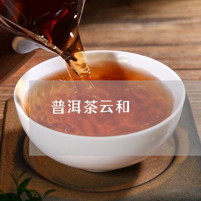 普洱茶云和/2023090507284