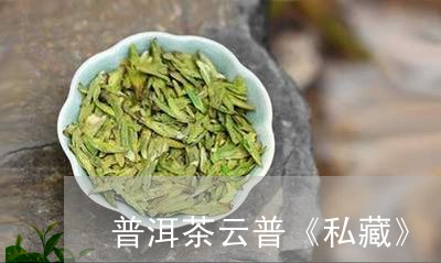 普洱茶云普《私藏》/2023070871803