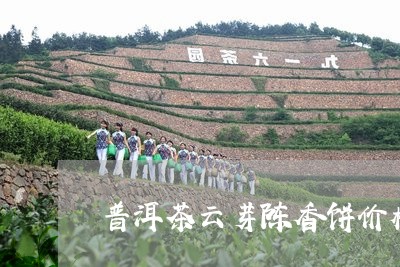 普洱茶云芽陈香饼价格/2023092902946