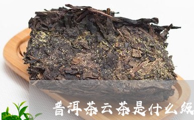 普洱茶云茶是什么级别/2023080370496