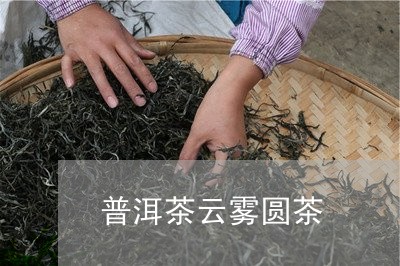 普洱茶云雾圆茶/2023101615147