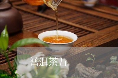 普洱茶五/2023110857261