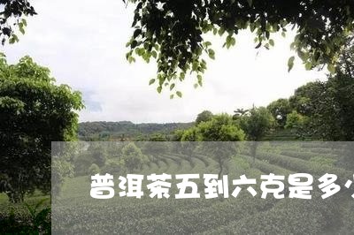 普洱茶五到六克是多少/2023061692714