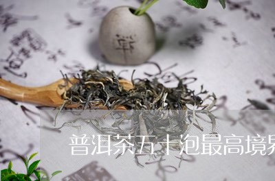 普洱茶五十泡最高境界/2023080174927