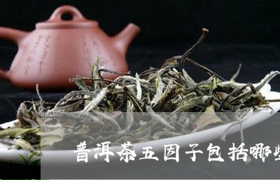 普洱茶五因子包括哪些/2023080258694