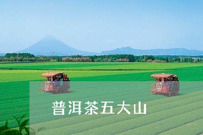 普洱茶五大山/2023090624036