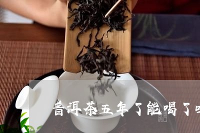 普洱茶五年了能喝了吗/2023061803937