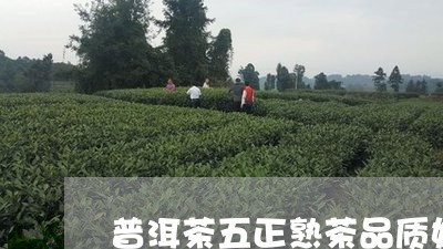 普洱茶五正熟茶品质如何/2023122031703