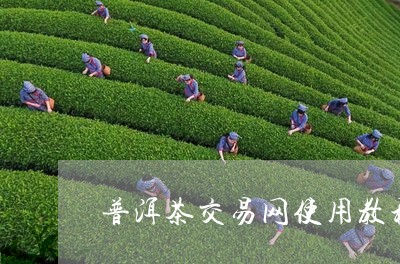 普洱茶交易网使用教程/2023073001593