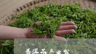 普洱茶产业发/2023091250816