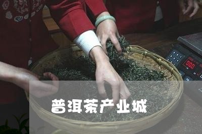 普洱茶产业城/2023042636171