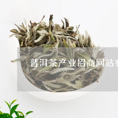 普洱茶产业招商网站有哪些/2023112470584