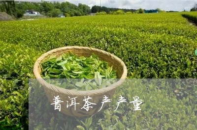 普洱茶产产量/2023042873585