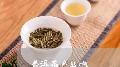 普洱茶产出地/2023042605608