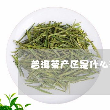 普洱茶产区是什么茶/2023070912836