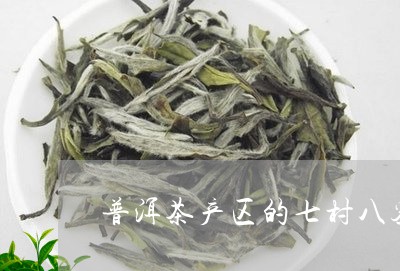 普洱茶产区的七村八寨/2023092731795