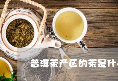 普洱茶产区的茶是什么茶/2023110386380