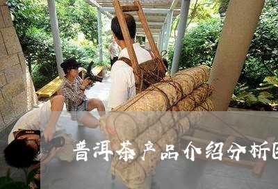 普洱茶产品介绍分析图片/2023120789592