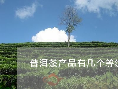 普洱茶产品有几个等级别/2023082721594