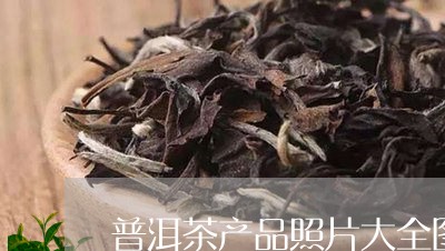 普洱茶产品照片大全图库/2023110423941