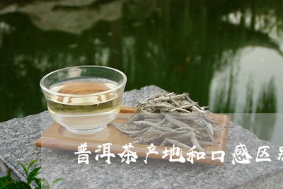 普洱茶产地和口感区别/2023080282946