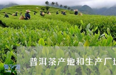 普洱茶产地和生产厂址/2023062420714