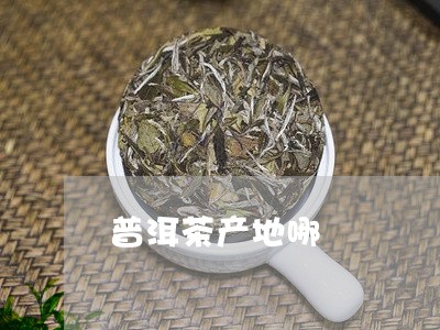 普洱茶产地哪/2023042755238