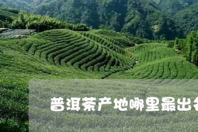 普洱茶产地哪里最出名/2023080283938