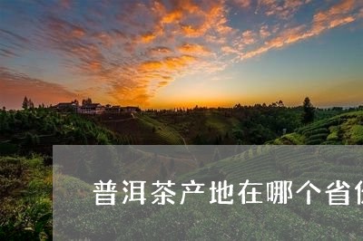 普洱茶产地在哪个省份好些/2023082908260