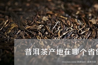 普洱茶产地在哪个省份最好喝/2023121636250