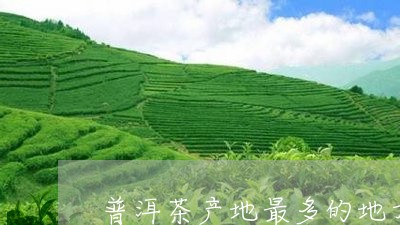 普洱茶产地最多的地方/2023080256037