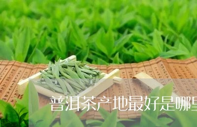 普洱茶产地最好是哪里/2023062785258