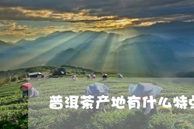 普洱茶产地有什么特点/2023100770305