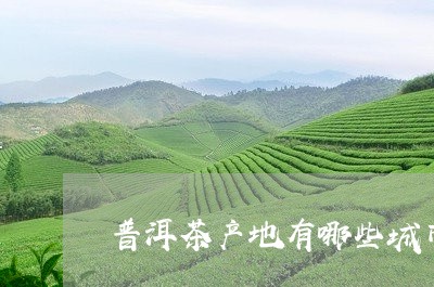 普洱茶产地有哪些城市呢/2023103160694