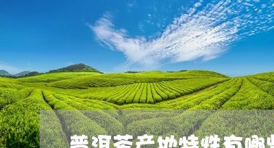 普洱茶产地特性有哪些/2023120684928