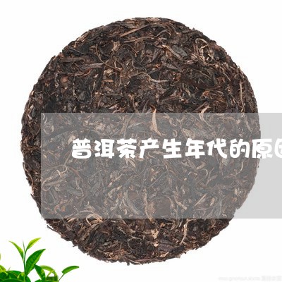 普洱茶产生年代的原因/2023120697048