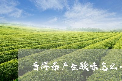 普洱茶产生酸味怎么办/2023062264267