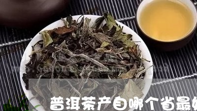 普洱茶产自哪个省最好/2023062547269