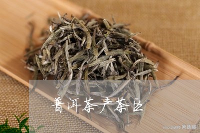 普洱茶产茶区/2023042795798