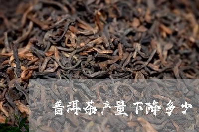 普洱茶产量下降多少了一年/2023110660704