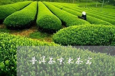 普洱茶京东茶窝/2023070934856